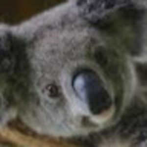 Meet your Posher, Lynn